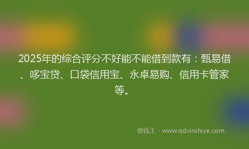 2025年的综合评分不好能不能借到款有：甄易借、哆宝贷、口袋信用宝、永卓易购、信用卡管家等。