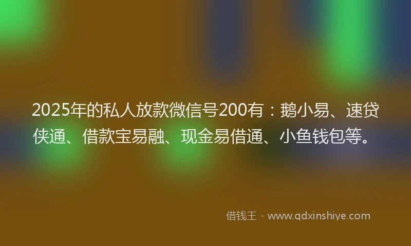 2025年的私人放款微信号200有：鹅小易、速贷侠通、借款宝易融、现金易借通、小鱼钱包等。