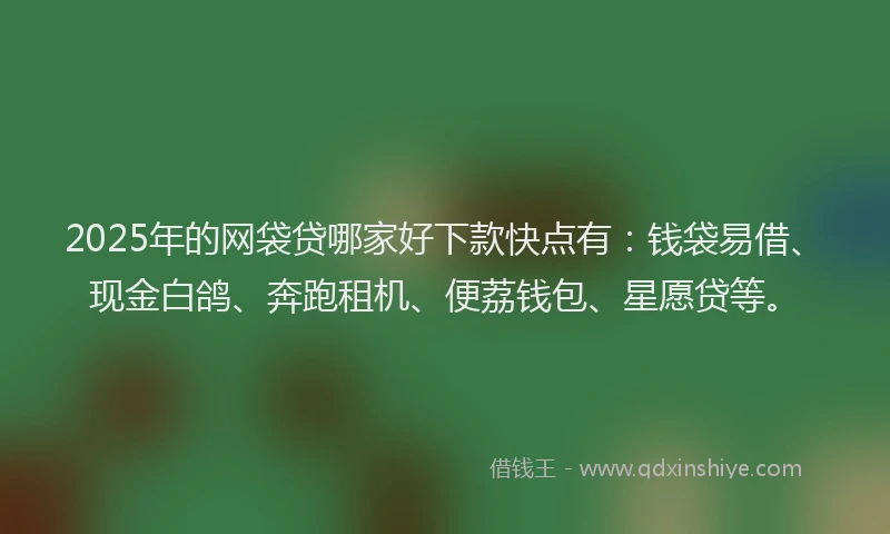2025年的网袋贷哪家好下款快点有：钱袋易借、现金白鸽、奔跑租机、便荔钱包、星愿贷等。