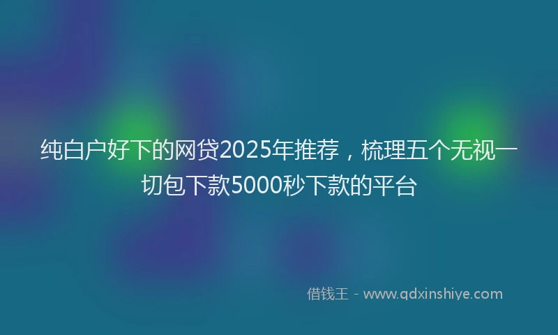 纯白户好下的网贷2025年推荐，梳理五个无视一切包下款5000秒下款的平台