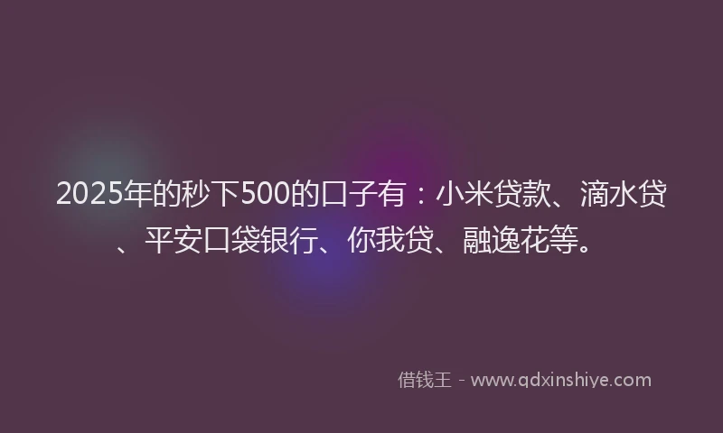 2025年的秒下500的口子有：小米贷款、滴水贷、平安口袋银行、你我贷、融逸花等。