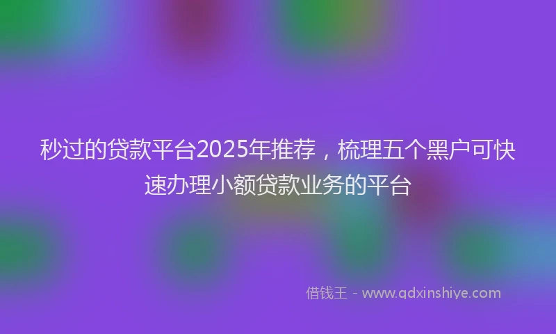 秒过的贷款平台2025年推荐，梳理五个黑户可快速办理小额贷款业务的平台