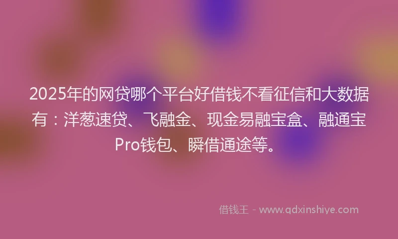 2025年的网贷哪个平台好借钱不看征信和大数据有：洋葱速贷、飞融金、现金易融宝盒、融通宝Pro钱包、瞬借通途等。