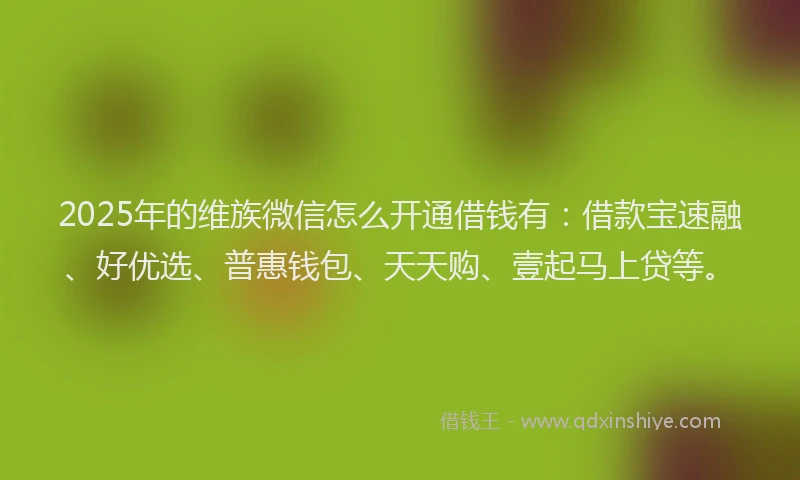 2025年的维族微信怎么开通借钱有：借款宝速融、好优选、普惠钱包、天天购、壹起马上贷等。