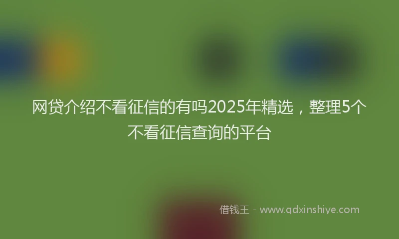 网贷介绍不看征信的有吗2025年精选，整理5个不看征信查询的平台