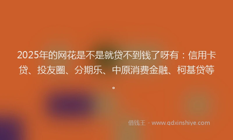2025年的网花是不是就贷不到钱了呀有：信用卡贷、投友圈、分期乐、中原消费金融、柯基贷等。