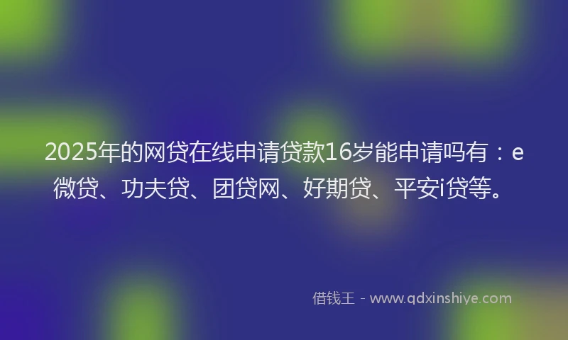 2025年的网贷在线申请贷款16岁能申请吗有：e微贷、功夫贷、团贷网、好期贷、平安i贷等。