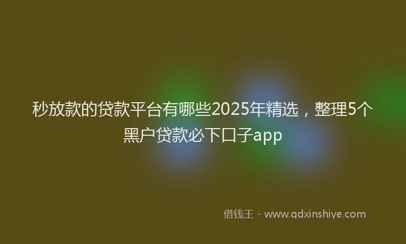 秒放款的贷款平台有哪些2025年精选，整理5个黑户贷款必下口子app