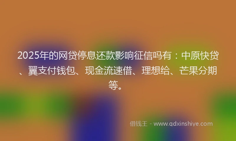 2025年的网贷停息还款影响征信吗有：中原快贷、翼支付钱包、现金流速借、理想给、芒果分期等。