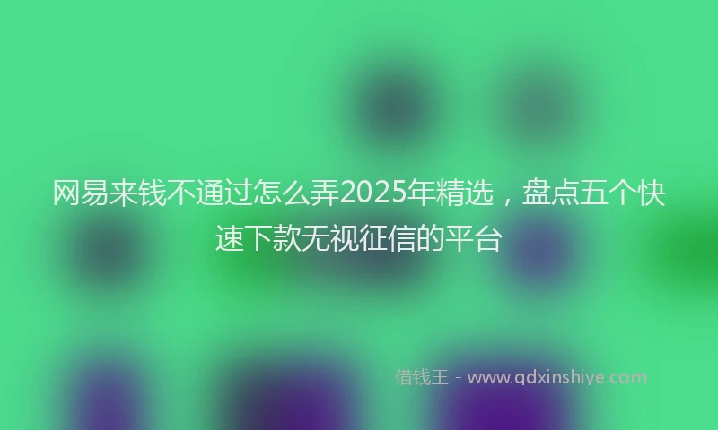 网易来钱不通过怎么弄2025年精选，盘点五个快速下款无视征信的平台
