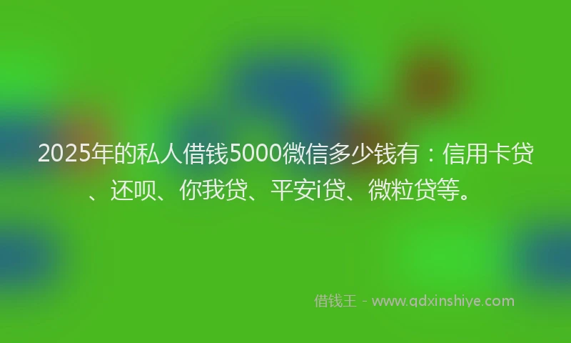2025年的私人借钱5000微信多少钱有:信用卡贷、还呗、你我贷、平安i贷、微粒贷等。