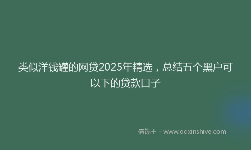 类似洋钱罐的网贷2025年精选，总结五个黑户可以下的贷款口子