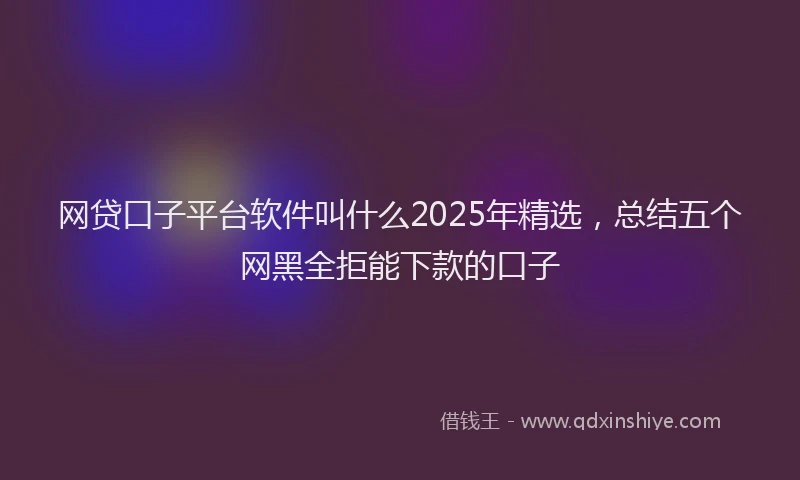 网贷口子平台软件叫什么2025年精选，总结五个网黑全拒能下款的口子