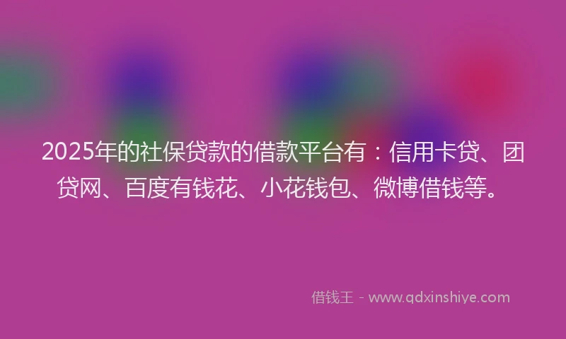 2025年的社保贷款的借款平台有：信用卡贷、团贷网、百度有钱花、小花钱包、微博借钱等。