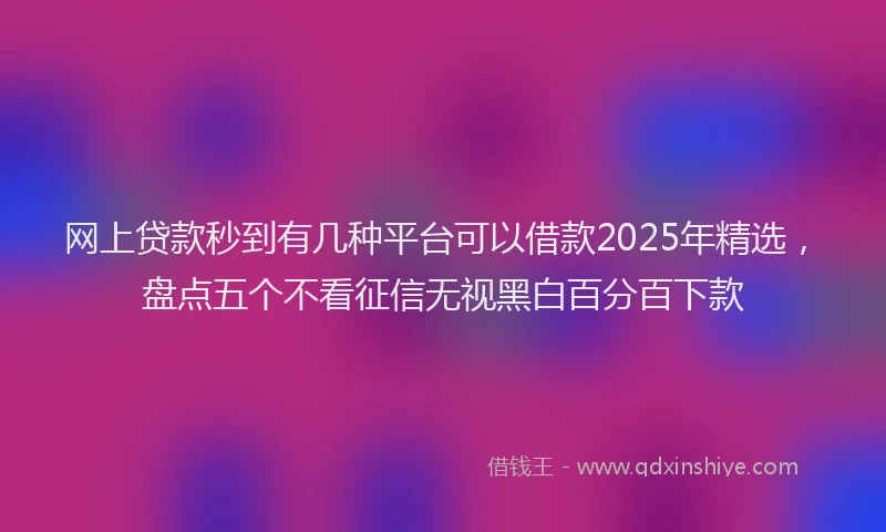 网上贷款秒到有几种平台可以借款2025年精选，盘点五个不看征信无视黑白百分百下款