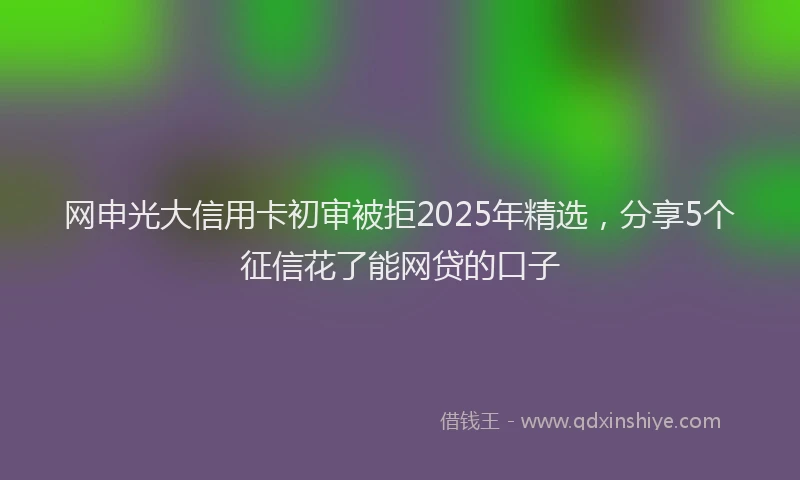 网申光大信用卡初审被拒2025年精选，分享5个征信花了能网贷的口子