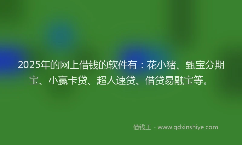 2025年的网上借钱的软件有：花小猪、甄宝分期宝、小赢卡贷、超人速贷、借贷易融宝等。