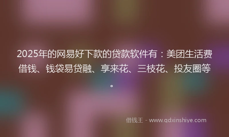 2025年的网易好下款的贷款软件有：美团生活费借钱、钱袋易贷融、享来花、三枝花、投友圈等。