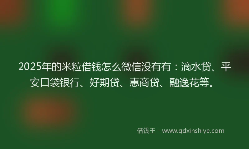 2025年的米粒借钱怎么微信没有有：滴水贷、平安口袋银行、好期贷、惠商贷、融逸花等。