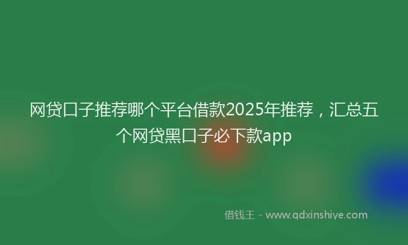 网贷口子推荐哪个平台借款2025年推荐，汇总五个网贷黑口子必下款app
