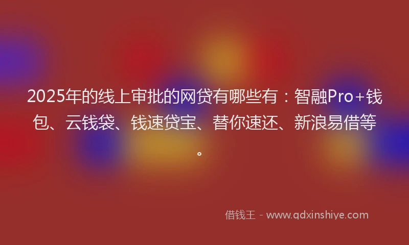 2025年的线上审批的网贷有哪些有：智融Pro+钱包、云钱袋、钱速贷宝、替你速还、新浪易借等。