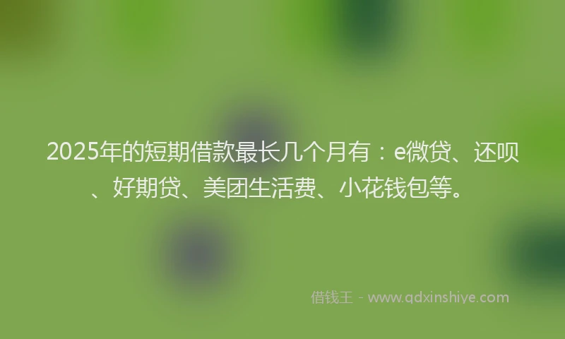 2025年的短期借款最长几个月有：e微贷、还呗、好期贷、美团生活费、小花钱包等。