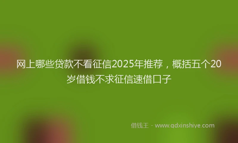 网上哪些贷款不看征信2025年推荐，概括五个20岁借钱不求征信速借口子