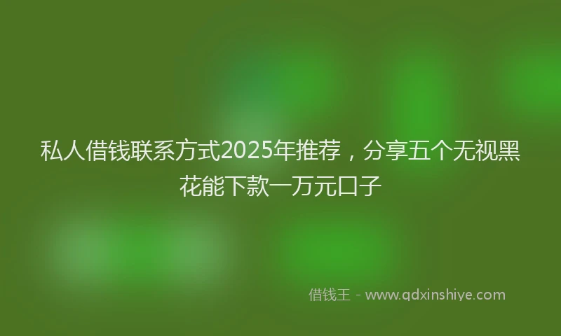 私人借钱联系方式2025年推荐，分享五个无视黑花能下款一万元口子