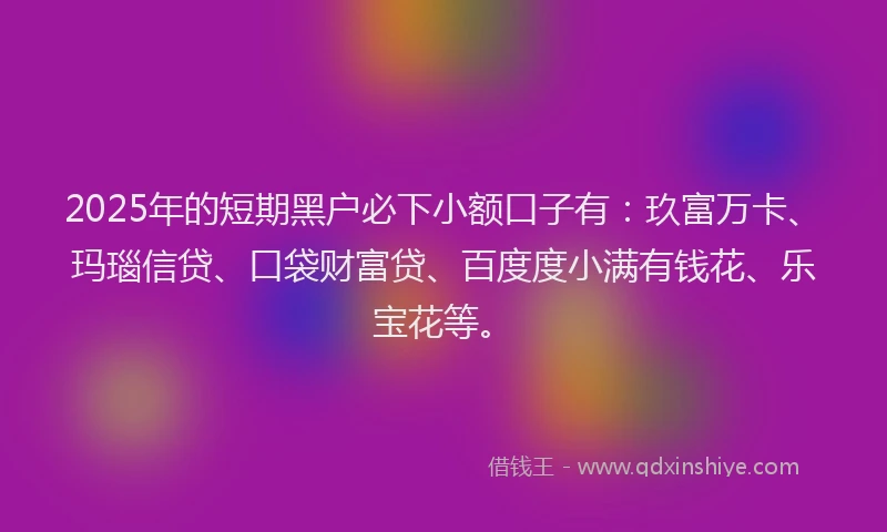 2025年的短期黑户必下小额口子有：玖富万卡、玛瑙信贷、口袋财富贷、百度度小满有钱花、乐宝花等。
