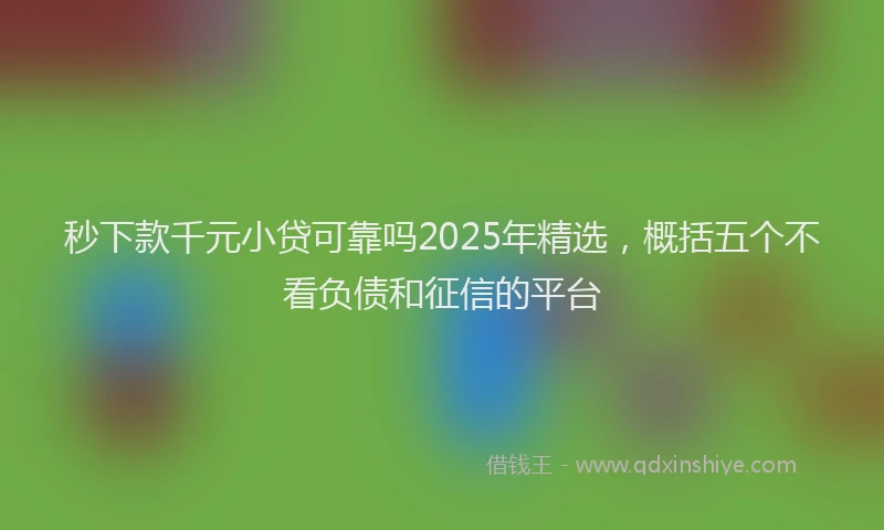 秒下款千元小贷可靠吗2025年精选，概括五个不看负债和征信的平台