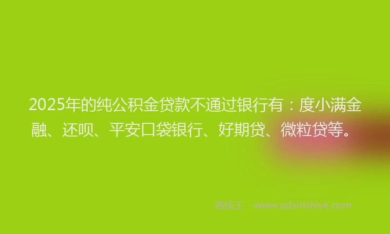 2025年的纯公积金贷款不通过银行有：度小满金融、还呗、平安口袋银行、好期贷、微粒贷等。
