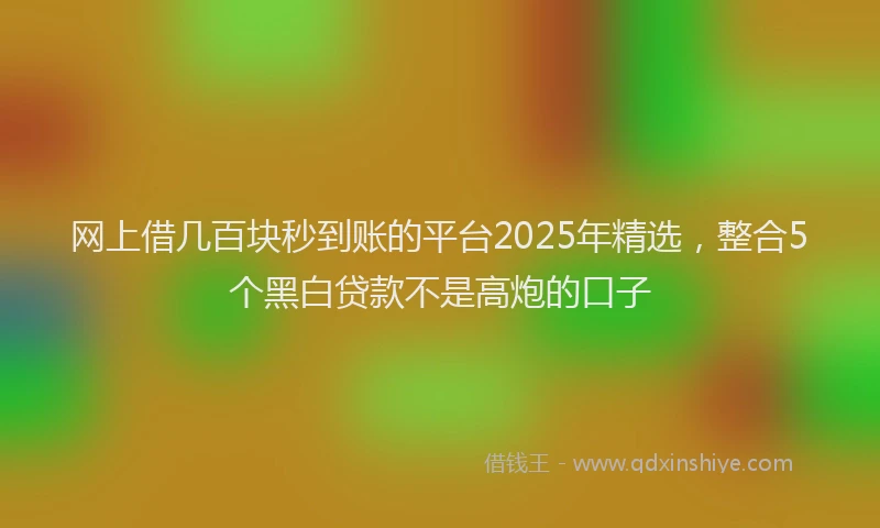 网上借几百块秒到账的平台2025年精选，整合5个黑白贷款不是高炮的口子