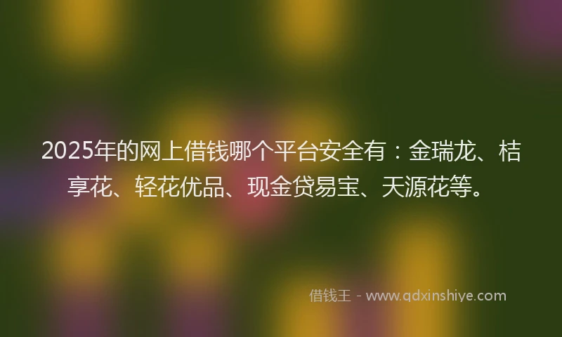 2025年的网上借钱哪个平台安全有：金瑞龙、桔享花、轻花优品、现金贷易宝、天源花等。