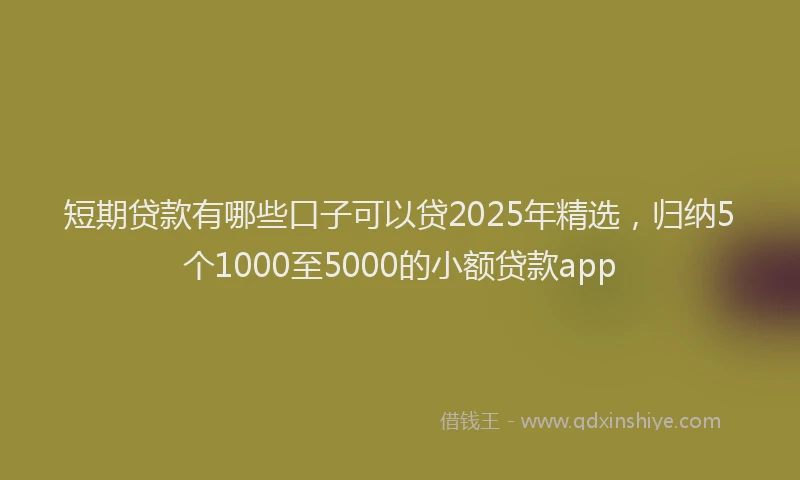 短期贷款有哪些口子可以贷2025年精选，归纳5个1000至5000的小额贷款app