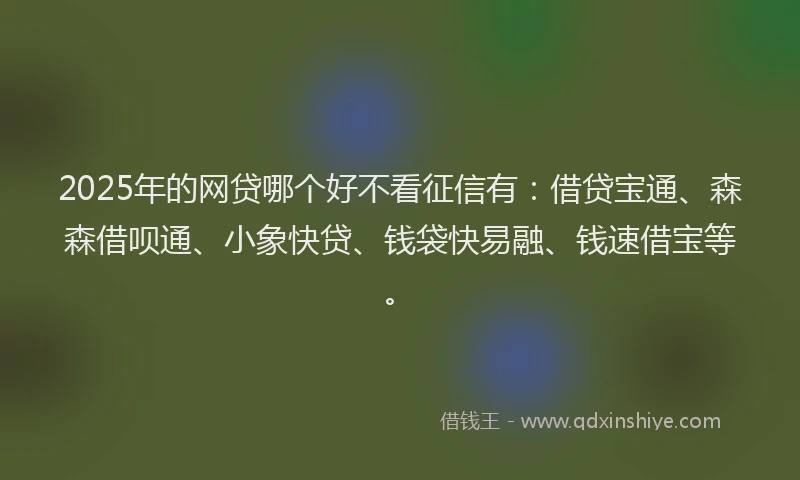 2025年的网贷哪个好不看征信有：借贷宝通、森森借呗通、小象快贷、钱袋快易融、钱速借宝等。