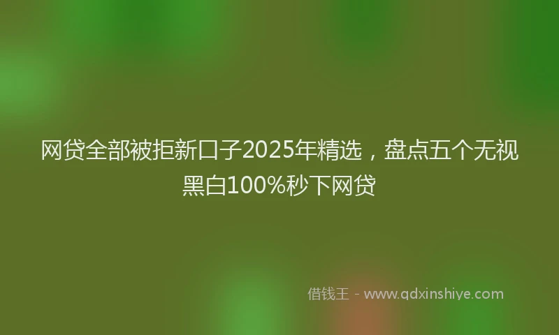 网贷全部被拒新口子2025年精选，盘点五个无视黑白100%秒下网贷