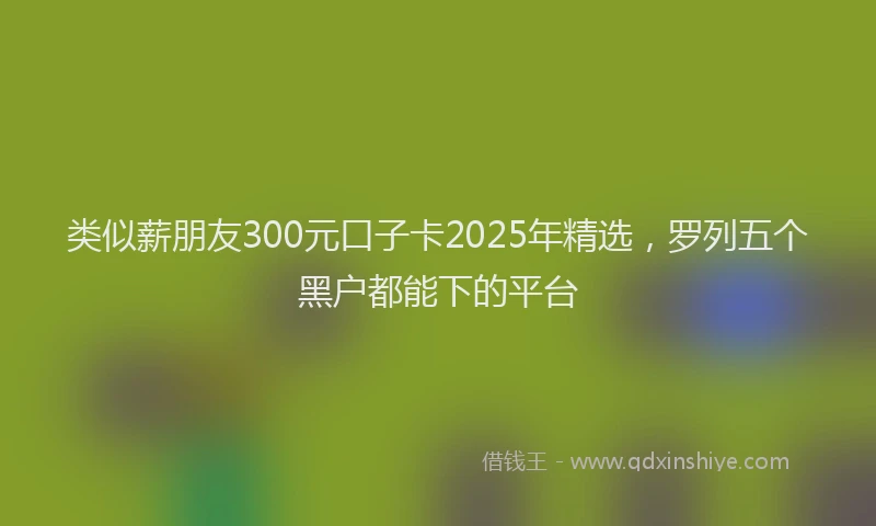 类似薪朋友300元口子卡2025年精选，罗列五个黑户都能下的平台