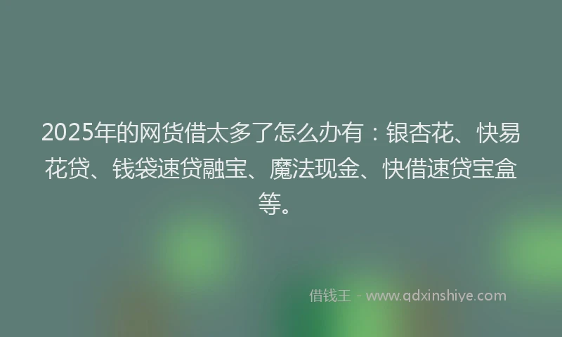 2025年的网货借太多了怎么办有：银杏花、快易花贷、钱袋速贷融宝、魔法现金、快借速贷宝盒等。
