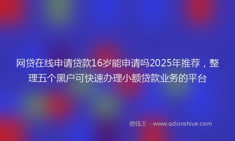 网贷在线申请贷款16岁能申请吗2025年推荐，整理五个黑户可快速办理小额贷款业务的平台