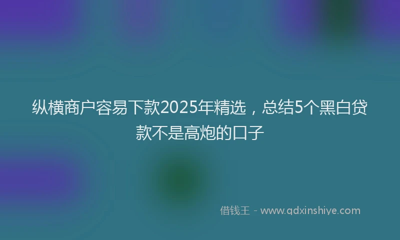 纵横商户容易下款2025年精选，总结5个黑白贷款不是高炮的口子