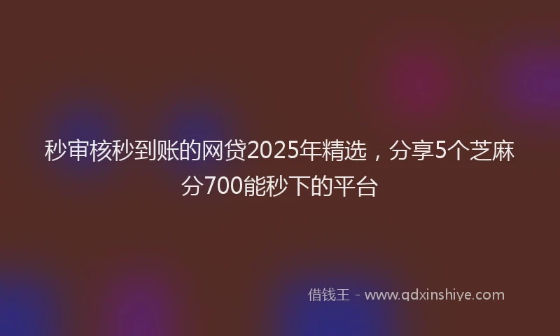 秒审核秒到账的网贷2025年精选，分享5个芝麻分700能秒下的平台