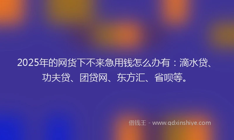 2025年的网货下不来急用钱怎么办有：滴水贷、功夫贷、团贷网、东方汇、省呗等。