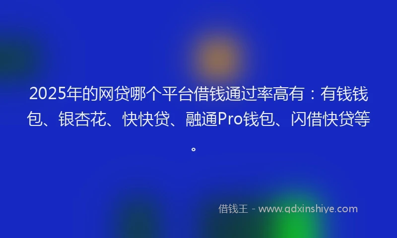 2025年的网贷哪个平台借钱通过率高有：有钱钱包、银杏花、快快贷、融通Pro钱包、闪借快贷等。
