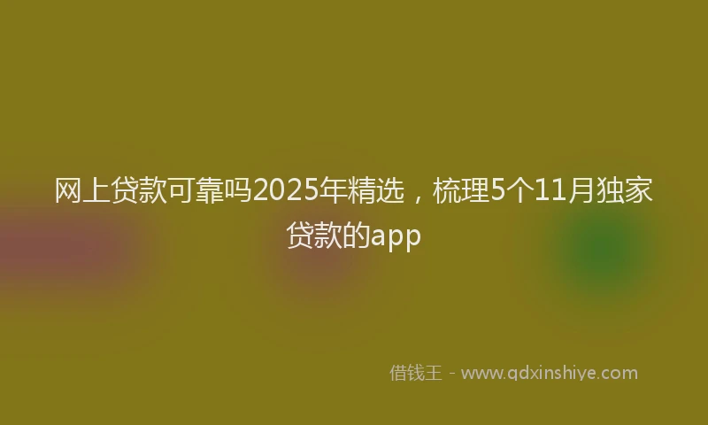 网上贷款可靠吗2025年精选，梳理5个11月独家贷款的app