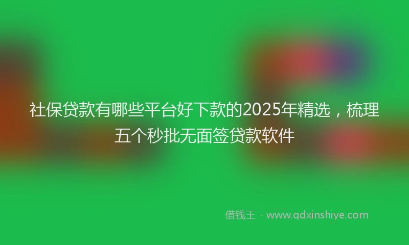社保贷款有哪些平台好下款的2025年精选，梳理五个秒批无面签贷款软件