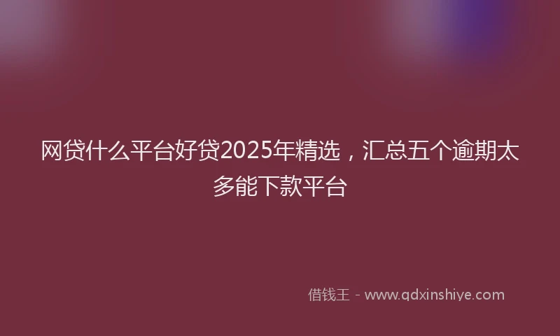 网贷什么平台好贷2025年精选，汇总五个逾期太多能下款平台