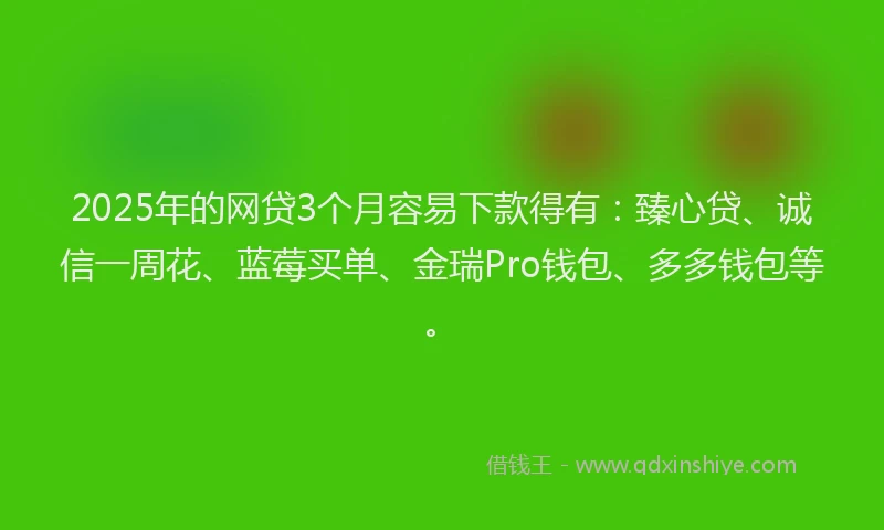 2025年的网贷3个月容易下款得有：臻心贷、诚信一周花、蓝莓买单、金瑞Pro钱包、多多钱包等。