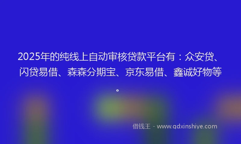2025年的纯线上自动审核贷款平台有：众安贷、闪贷易借、森森分期宝、京东易借、鑫诚好物等。