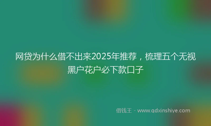 网贷为什么借不出来2025年推荐，梳理五个无视黑户花户必下款口子