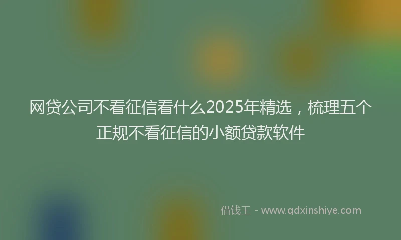 网贷公司不看征信看什么2025年精选，梳理五个正规不看征信的小额贷款软件